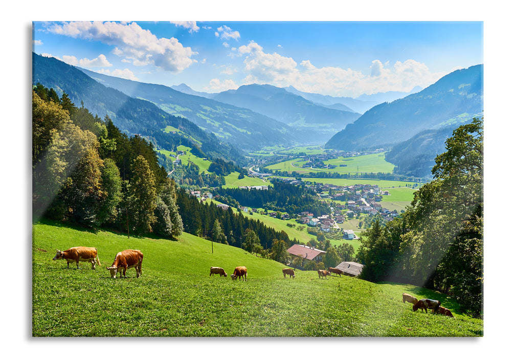 Pixxprint Kuhherde auf Zillertaler Almwiese, Glasbild