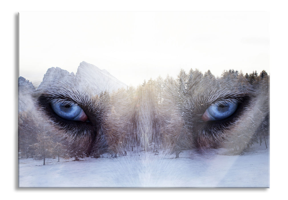 Overlay Wolfsaugen über Winterwald, Glasbild