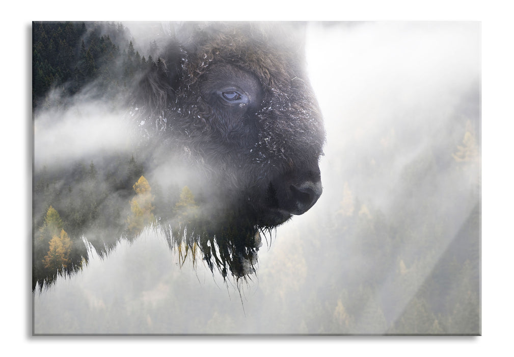 Pixxprint Wildes Bison in nebeligem Wald, Glasbild