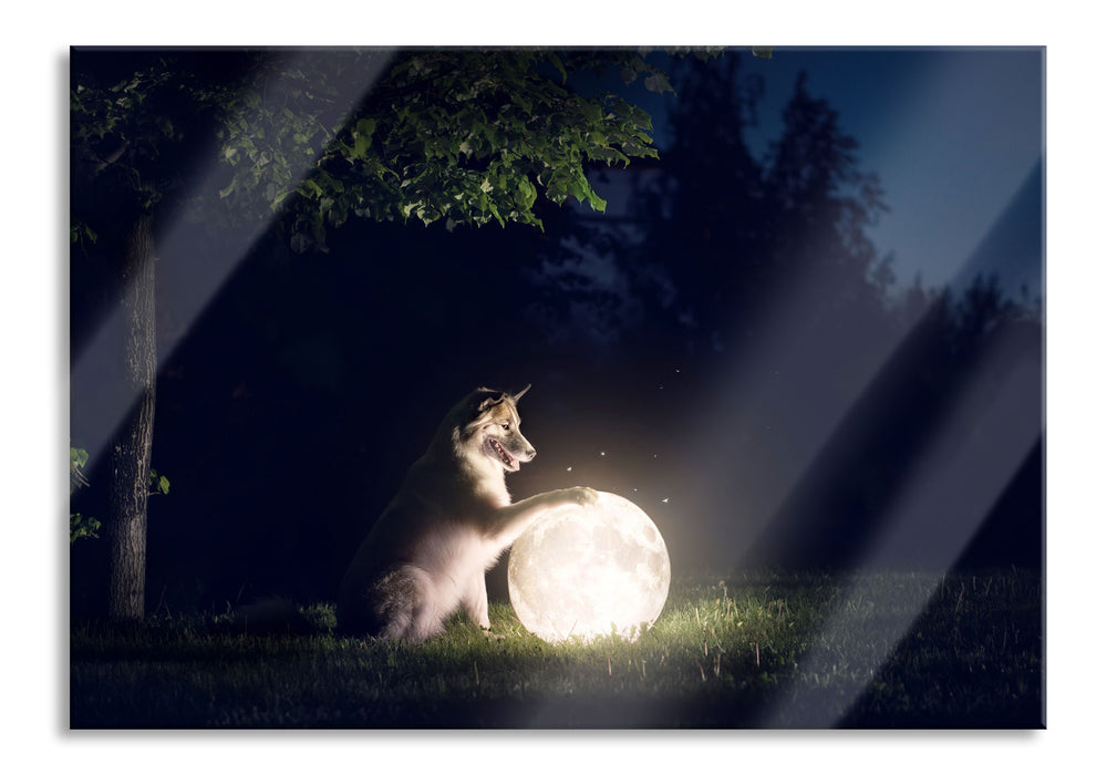 Hund mit leuchtendem Mond bei Nacht, Glasbild