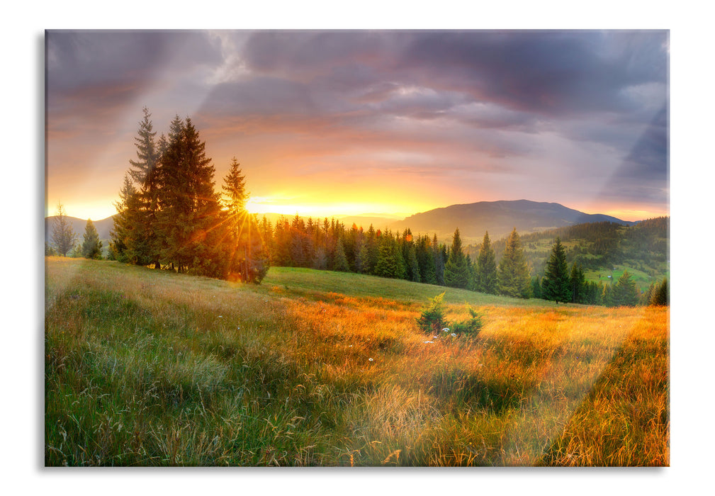 Pixxprint Wiesenlandschaft bei Sonnenuntergang, Glasbild