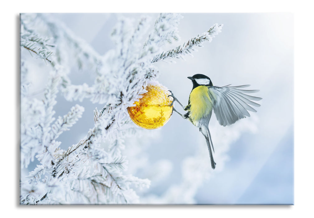 Kohlmeise an goldener Kugel in Winterwald, Glasbild