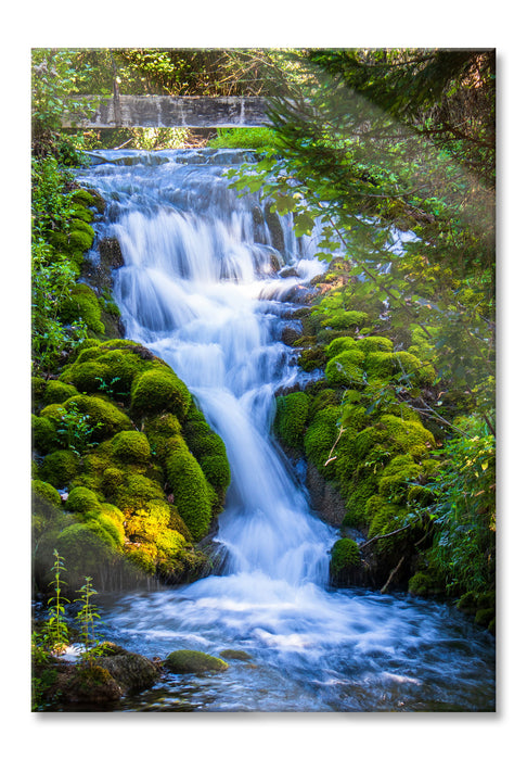 Pixxprint Wasserfall im grünen Wald, Glasbild