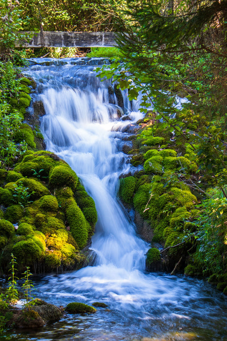 Wasserfall im grünen Wald, Glasbild