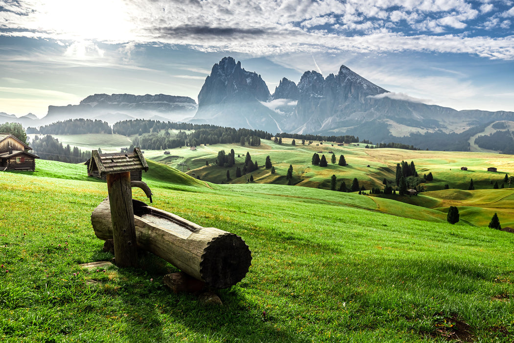 Wassertrog auf Wiese in den Dolomiten, Glasbild