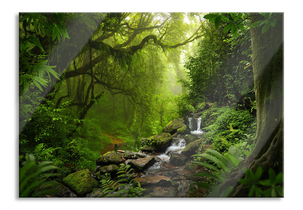 Kleinder Wasserfall im Dschungel, Glasbild