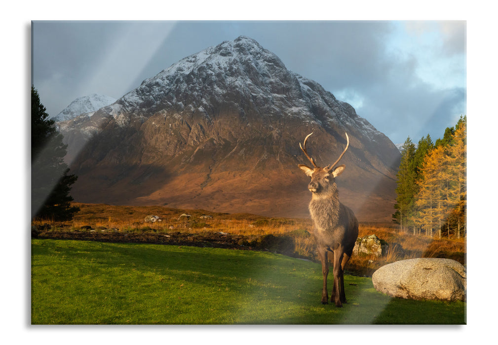 Pixxprint Einsames Rentier vor Berglandschaft, Glasbild