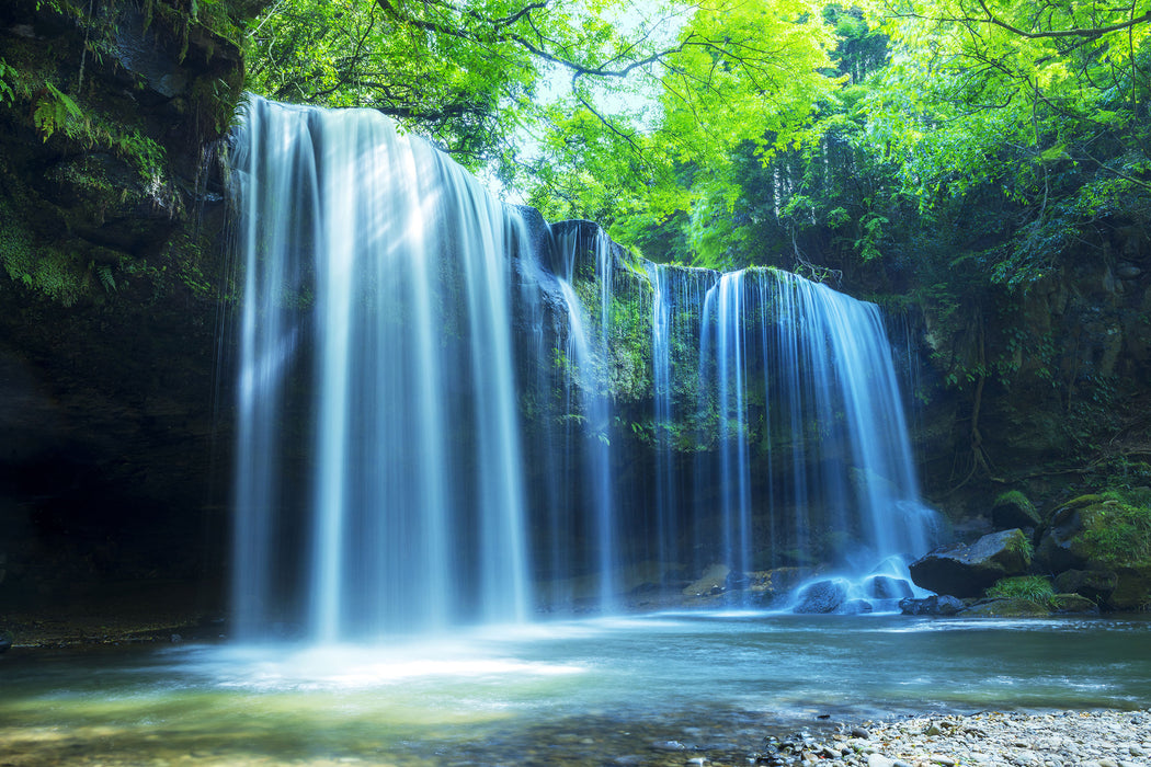 Tropischer Wasserfall im Wald, Glasbild