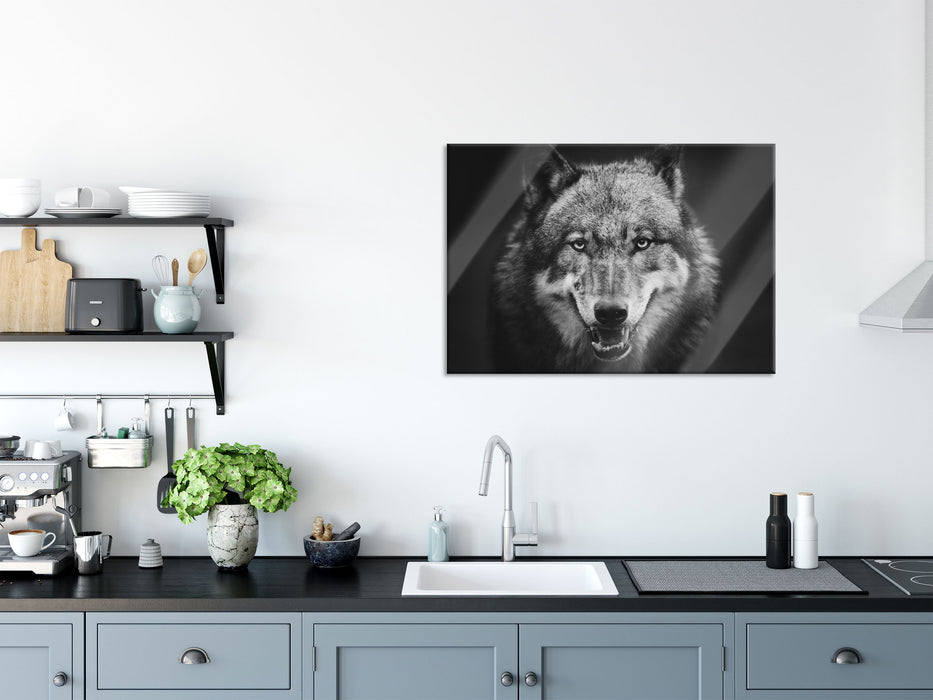 Nahaufnahme Wolf mit offener Schnauze, Glasbild