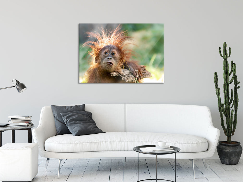 Lustiger Baby Orang-Utan mit Rinde, Glasbild