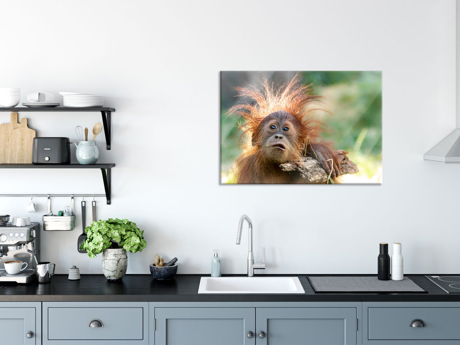 Lustiger Baby Orang-Utan mit Rinde, Glasbild