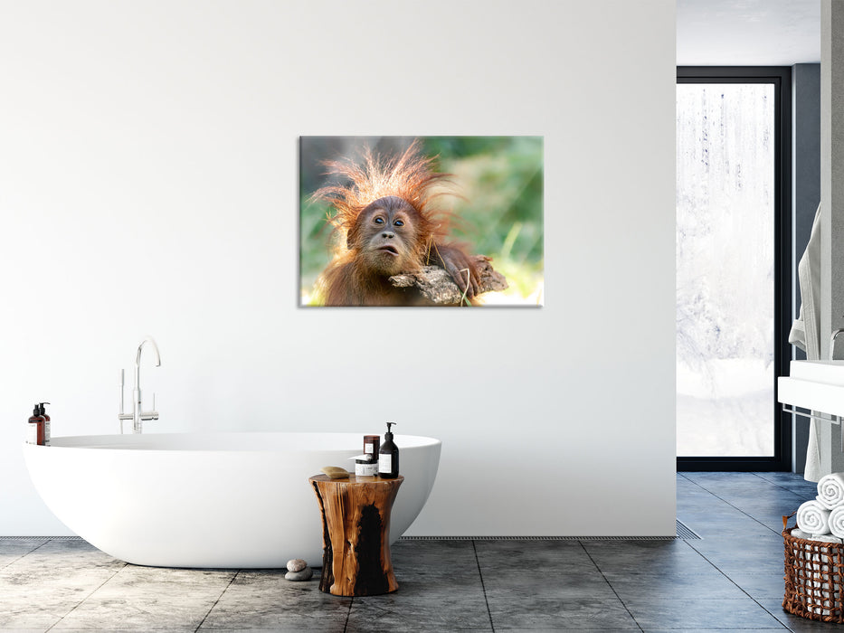 Lustiger Baby Orang-Utan mit Rinde, Glasbild