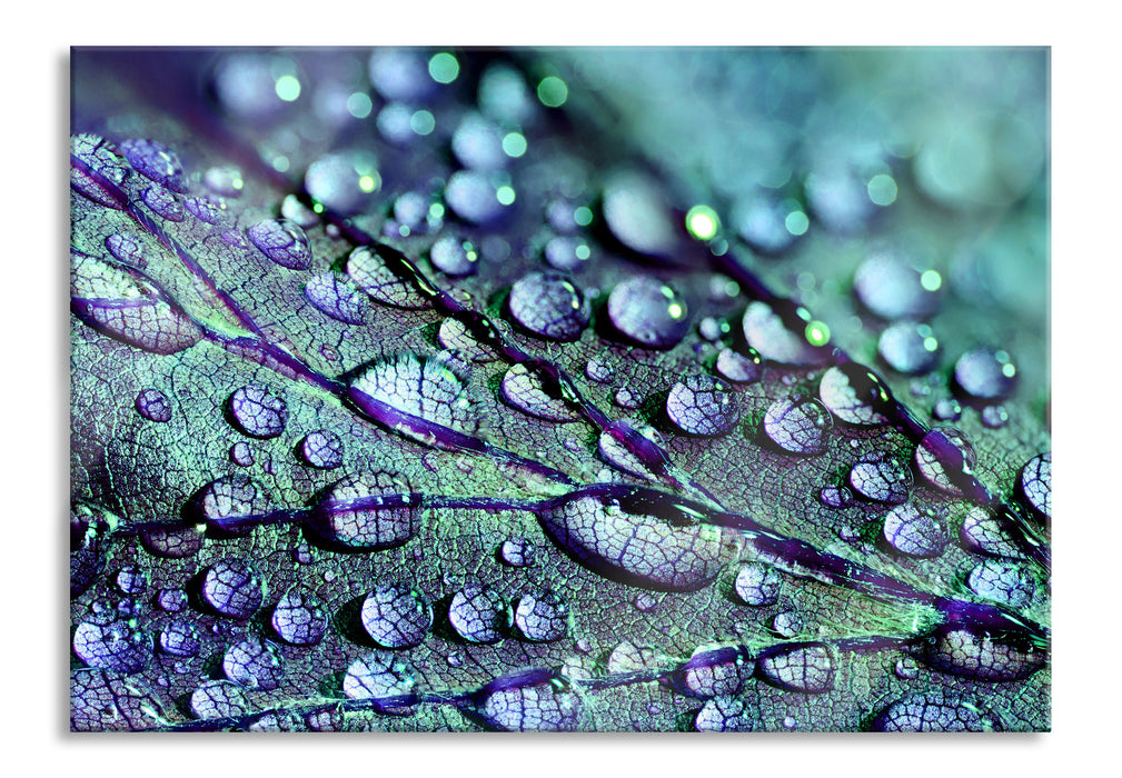 Nahaufnahme Wassertropfen auf Blatt, Glasbild