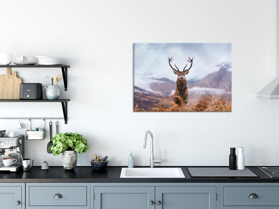 Majestätischer Hirsch in Berglandschaft, Glasbild