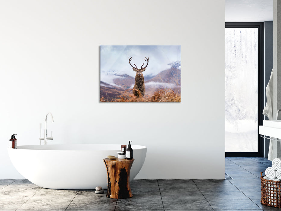 Majestätischer Hirsch in Berglandschaft, Glasbild