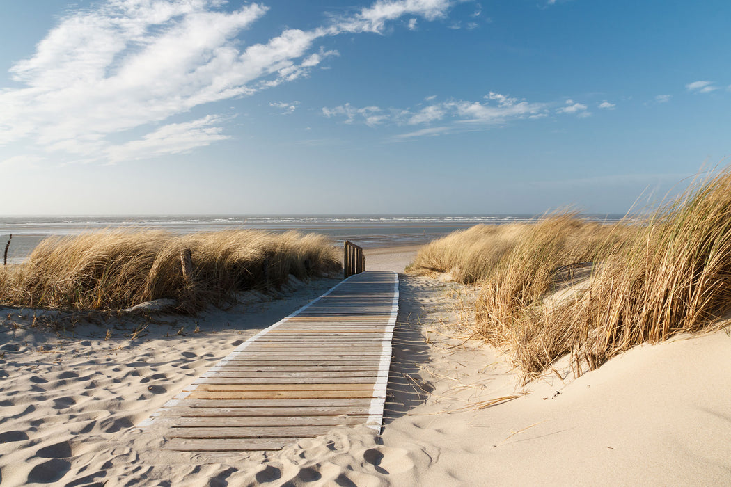 Weg zum Strand durch die Dünen, Glasbild