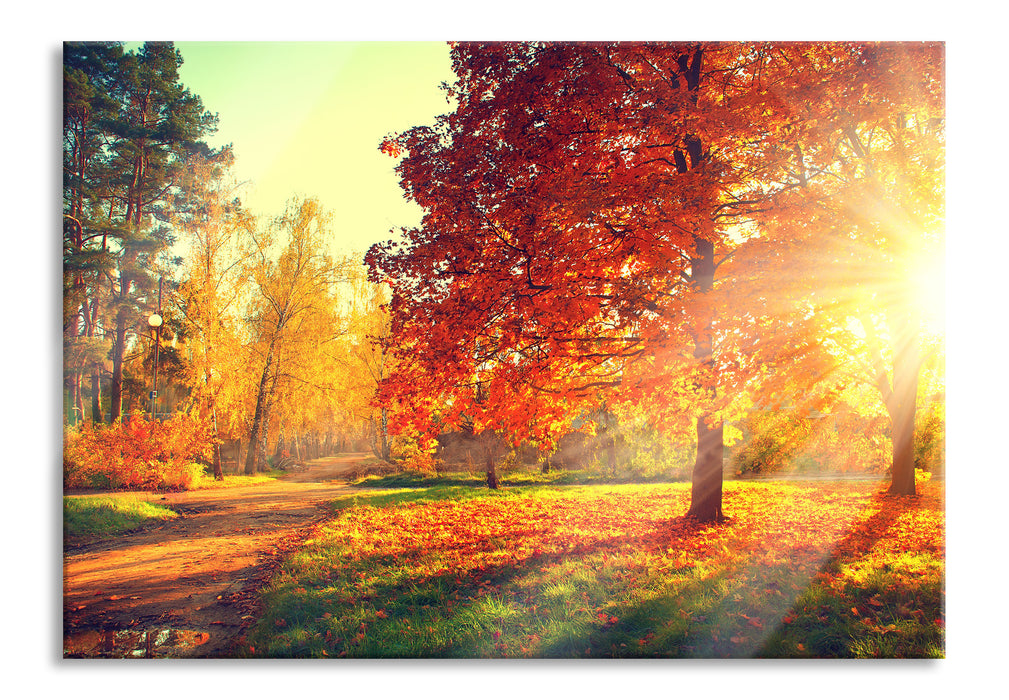 Pixxprint Weg durch bunten Herbstwald, Glasbild