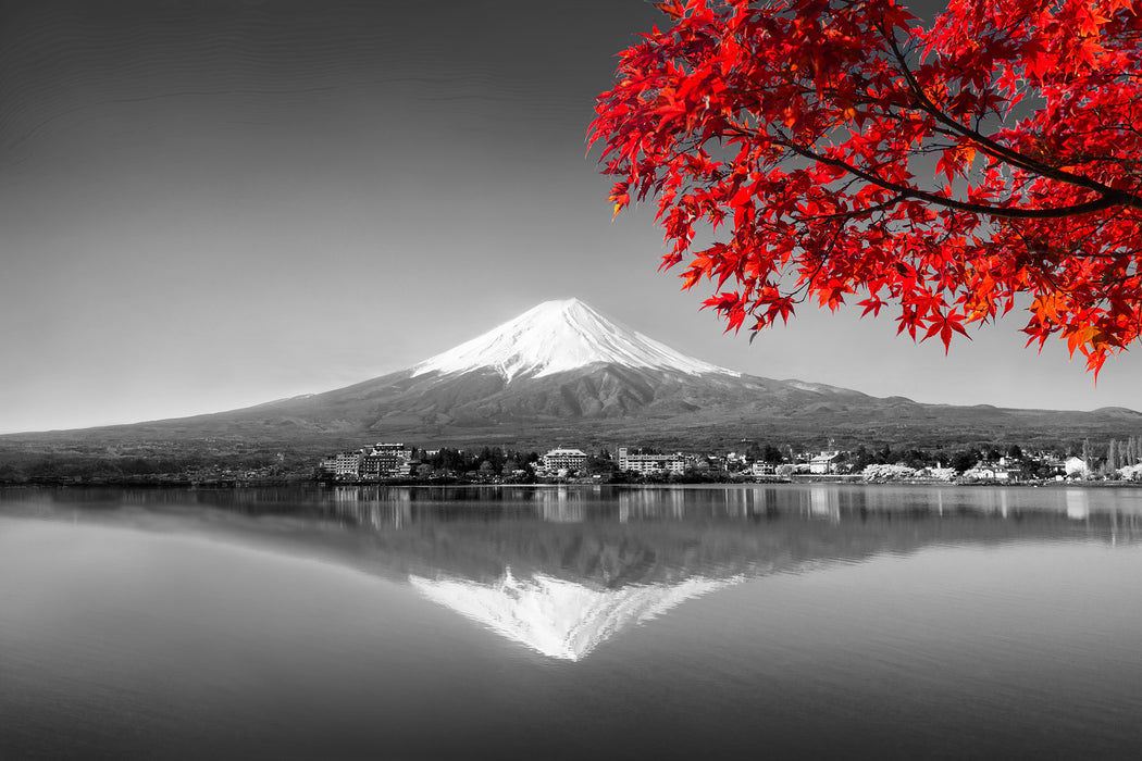 Berg Fujiyama mit herbstlich rotem Baum B&W Detail, Glasbild