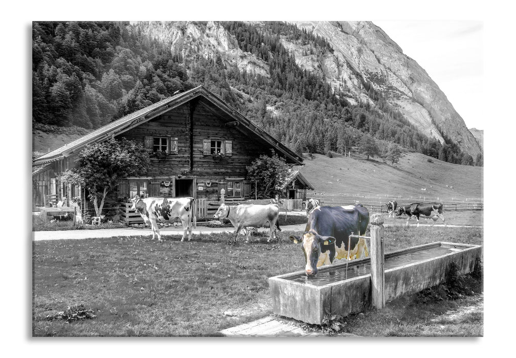 Kühe vor Blochhütte auf Albenweide B&W Detail, Glasbild