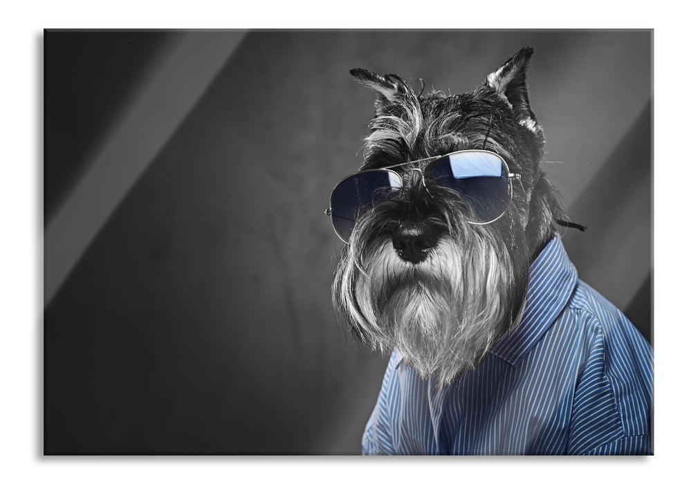 Lustiger Hund mit Hemd und Sonnenbrille B&W Detail, Glasbild