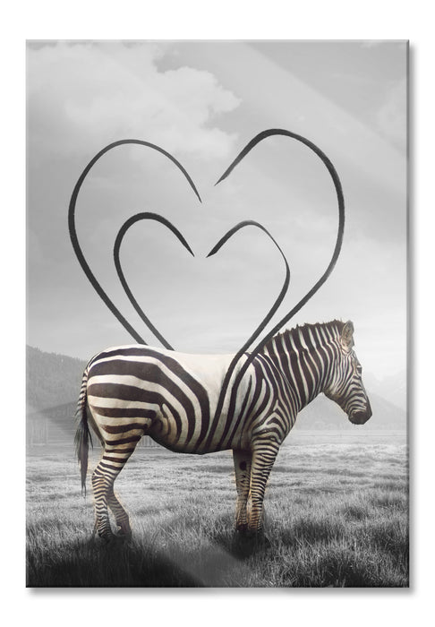 Pixxprint Zebra mit Herzbotschaft in der Savanne B&W Detail, Glasbild