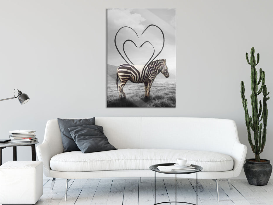 Zebra mit Herzbotschaft in der Savanne B&W Detail, Glasbild