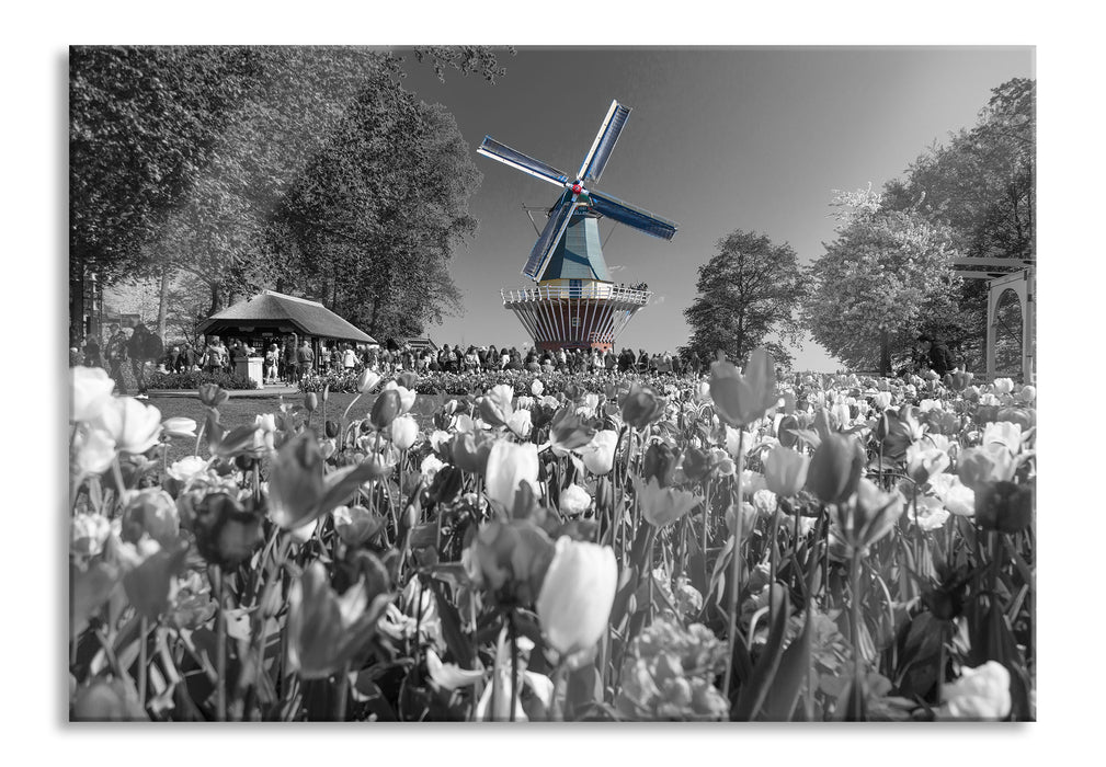 Holländisches Tulpenmeer vor Windmühle B&W Detail, Glasbild