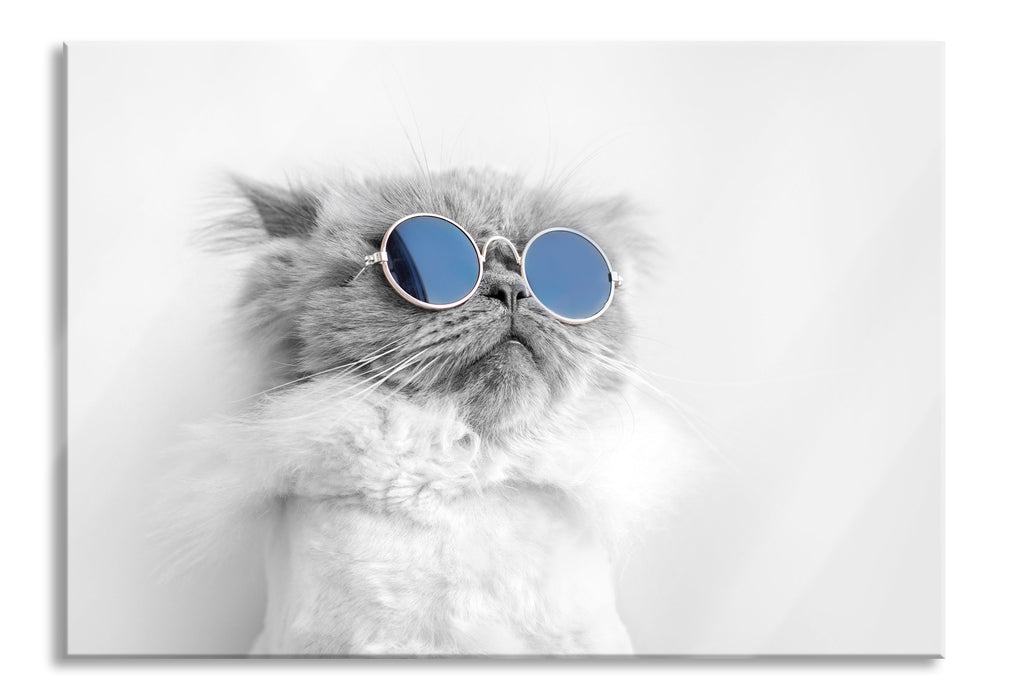 Pixxprint Coole Katze mit runder Sonnenbrille B&W Detail, Glasbild