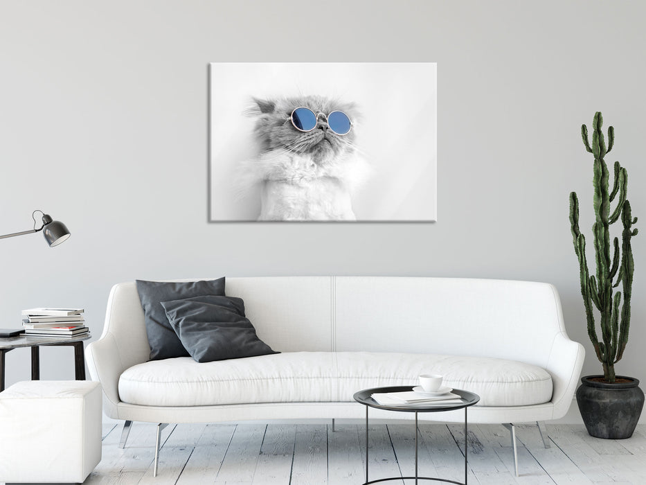 Coole Katze mit runder Sonnenbrille B&W Detail, Glasbild