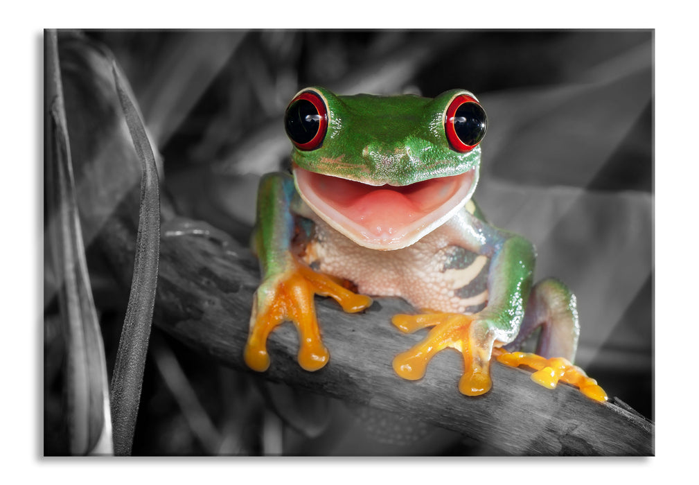 Pixxprint Lachender Frosch mit roten Augen auf Ast B&W Detail, Glasbild