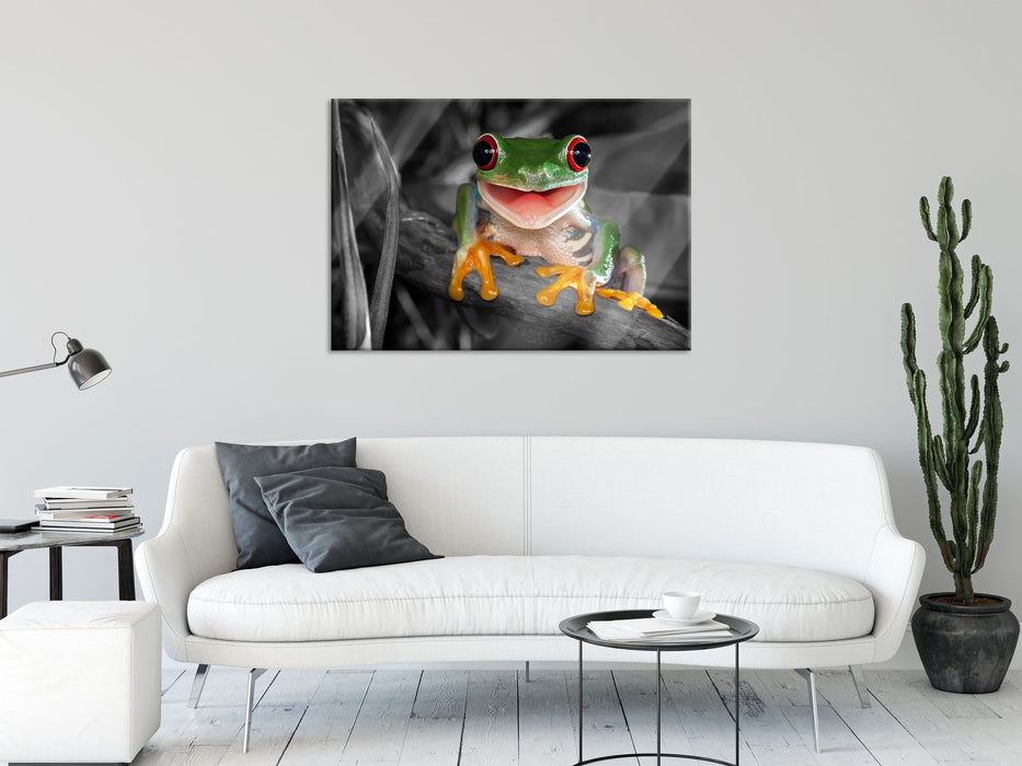 Lachender Frosch mit roten Augen auf Ast B&W Detail, Glasbild