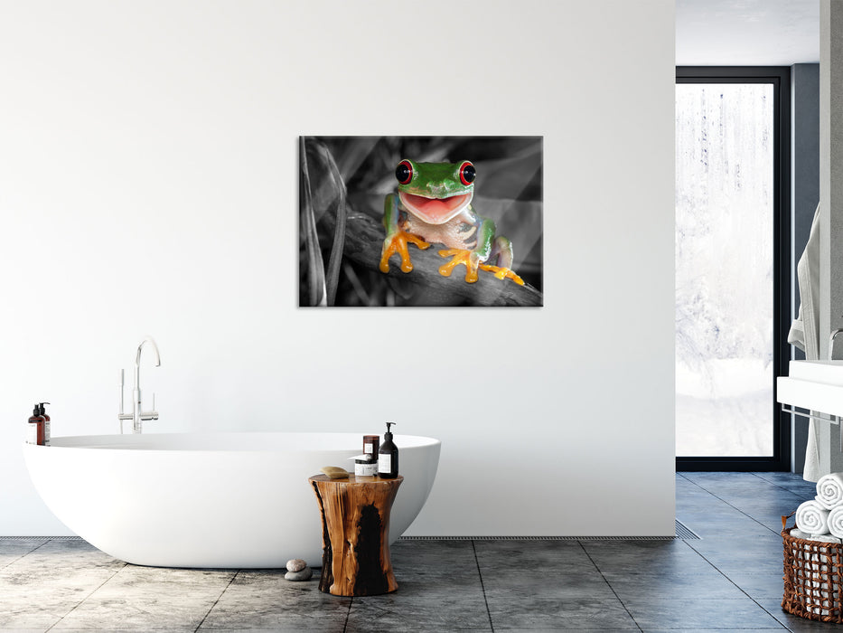 Lachender Frosch mit roten Augen auf Ast B&W Detail, Glasbild