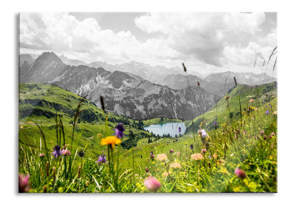 Pixxprint Wiesenblumen in den Bergen B&W Detail, Glasbild