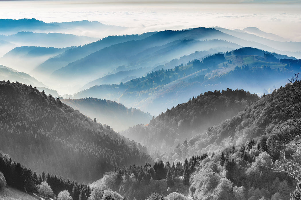 Nebelige Berglandschaft im Herbst B&W Detail, Glasbild