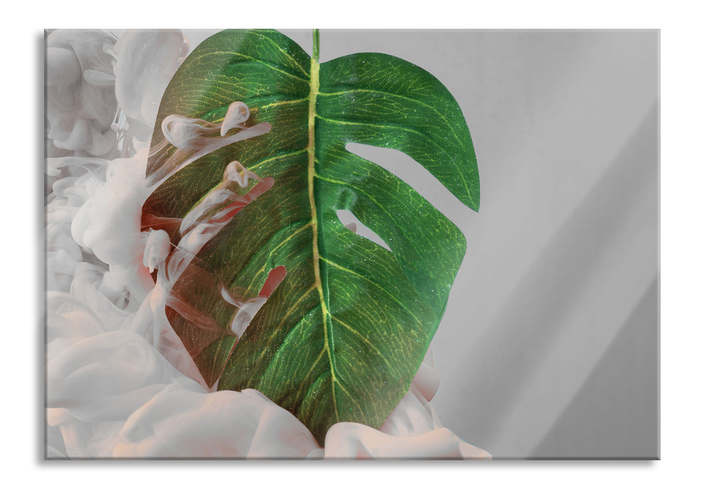 Monstera Blatt mit Pastelwolke B&W Detail, Glasbild