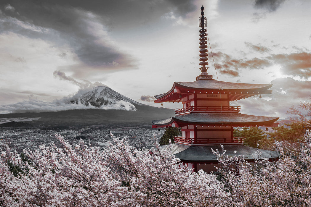 Japanischer Tempel zwischen Kirschblüten B&W Detail, Glasbild