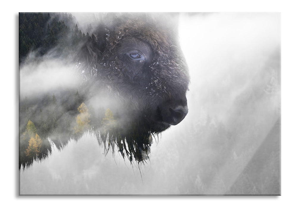 Pixxprint Wildes Bison in nebeligem Wald B&W Detail, Glasbild