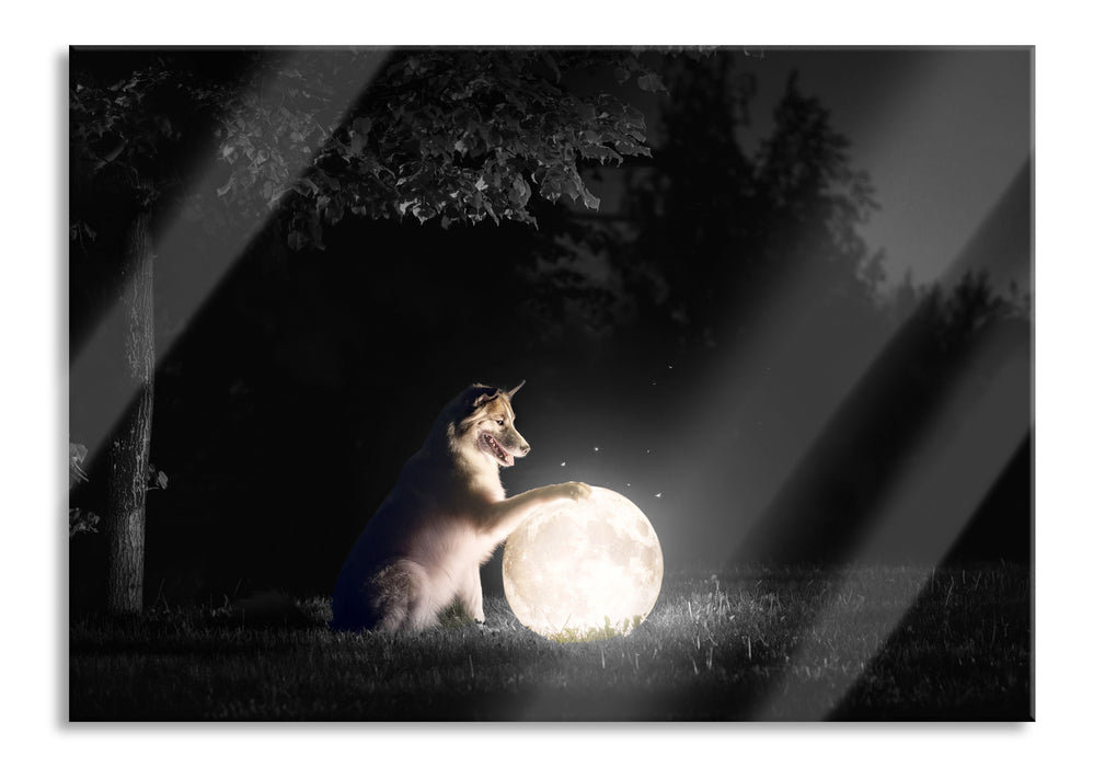 Pixxprint Hund mit leuchtendem Mond bei Nacht B&W Detail, Glasbild