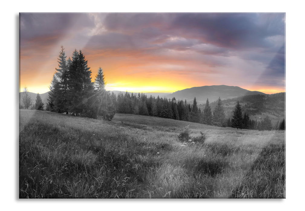 Wiesenlandschaft bei Sonnenuntergang B&W Detail, Glasbild