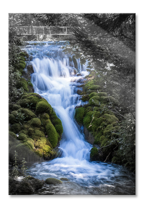 Pixxprint Wasserfall im grünen Wald B&W Detail, Glasbild