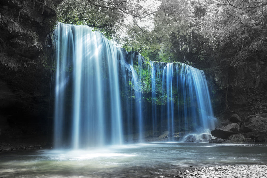 Tropischer Wasserfall im Wald B&W Detail, Glasbild