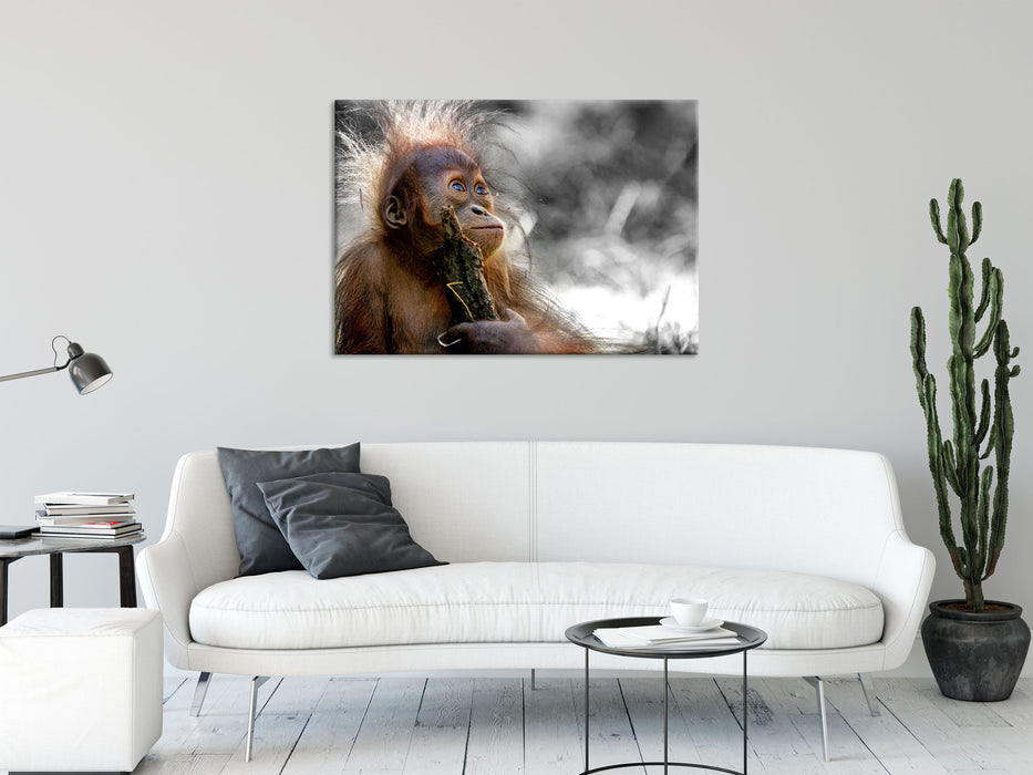 Orang-Utan Baby spielt mit Stock B&W Detail, Glasbild