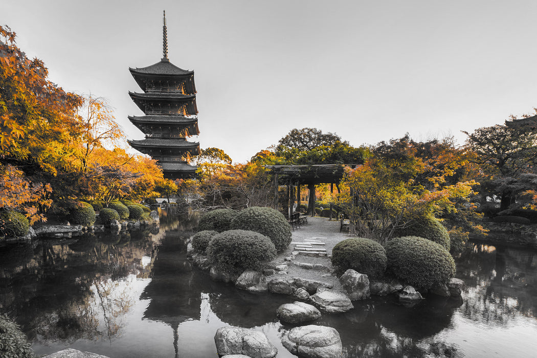 See im Herbst vor japanischem Tempel B&W Detail, Glasbild