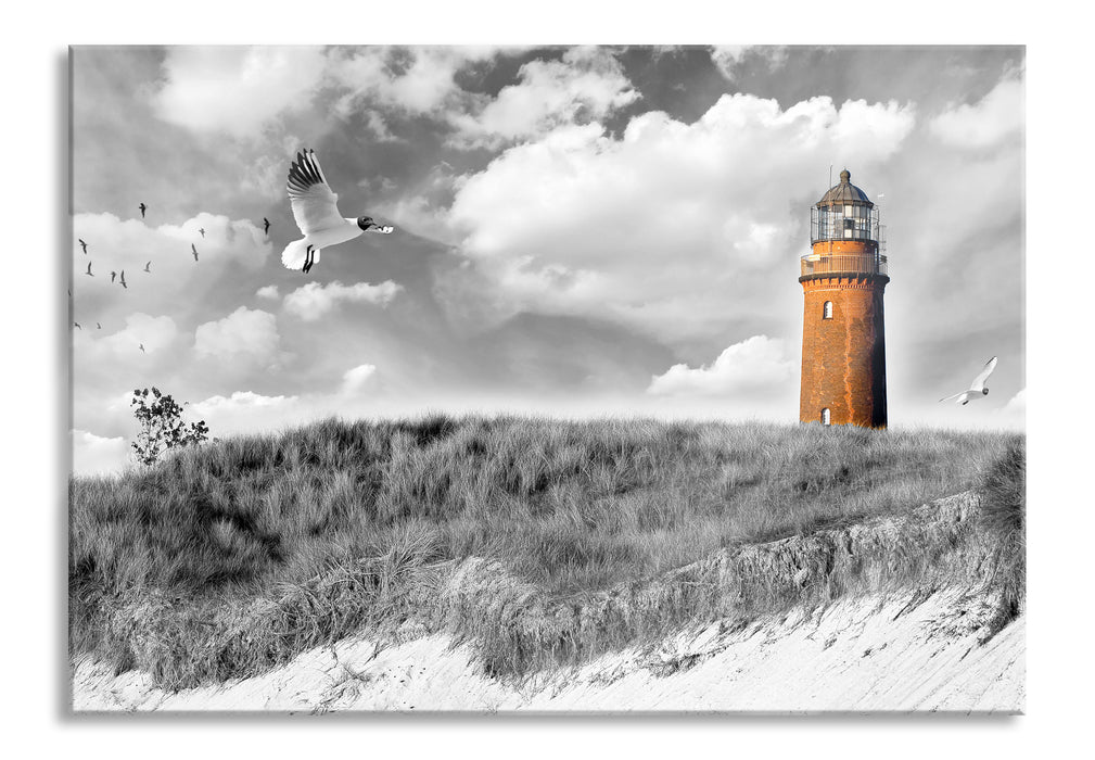 Möwen fliegen am Meer vor Leuchtturm B&W Detail, Glasbild