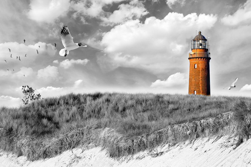 Möwen fliegen am Meer vor Leuchtturm B&W Detail, Glasbild