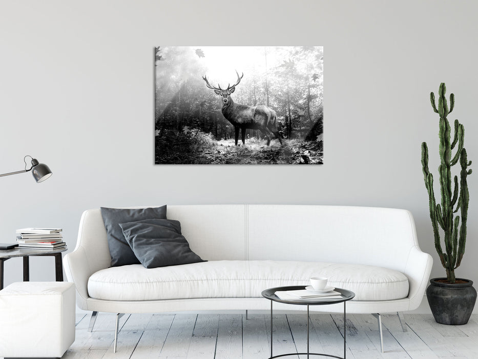 Hirsch im Wald mit fallenden Blättern, Monochrome, Glasbild