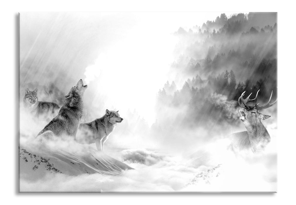 Heulende Wölfe jagen Hirsch im Nebel, Monochrome, Glasbild