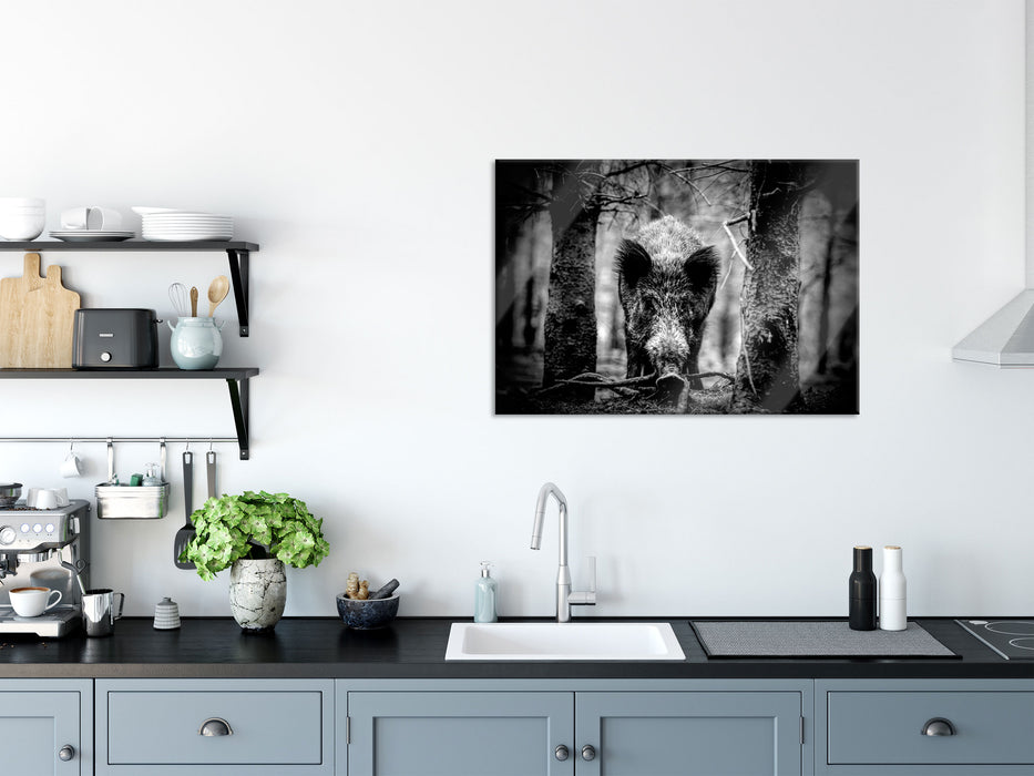 Nahaufnahme Wildschwein im Wald, Monochrome, Glasbild