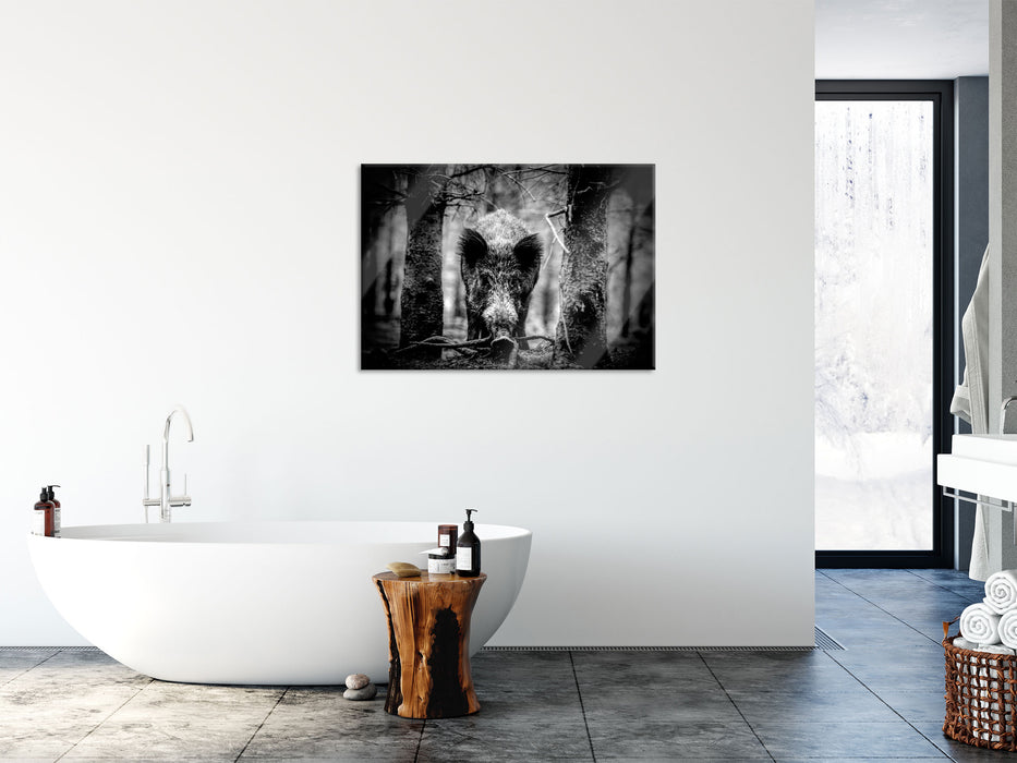 Nahaufnahme Wildschwein im Wald, Monochrome, Glasbild