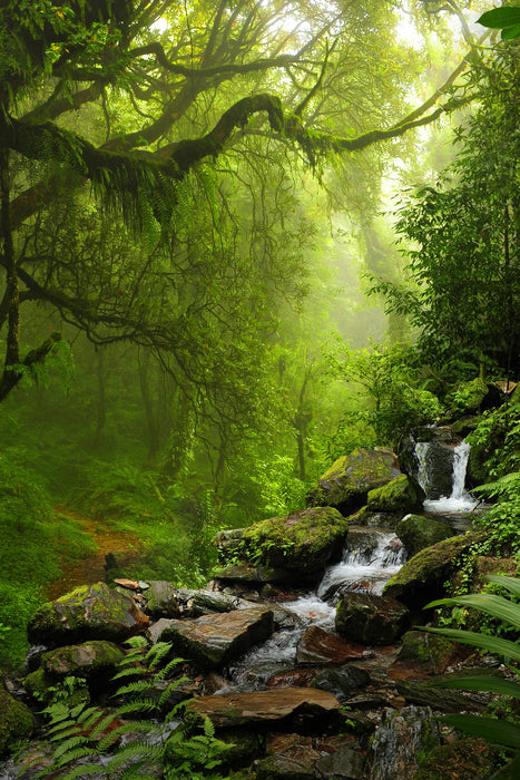 Kleinder Wasserfall im Dschungel, Glasbild